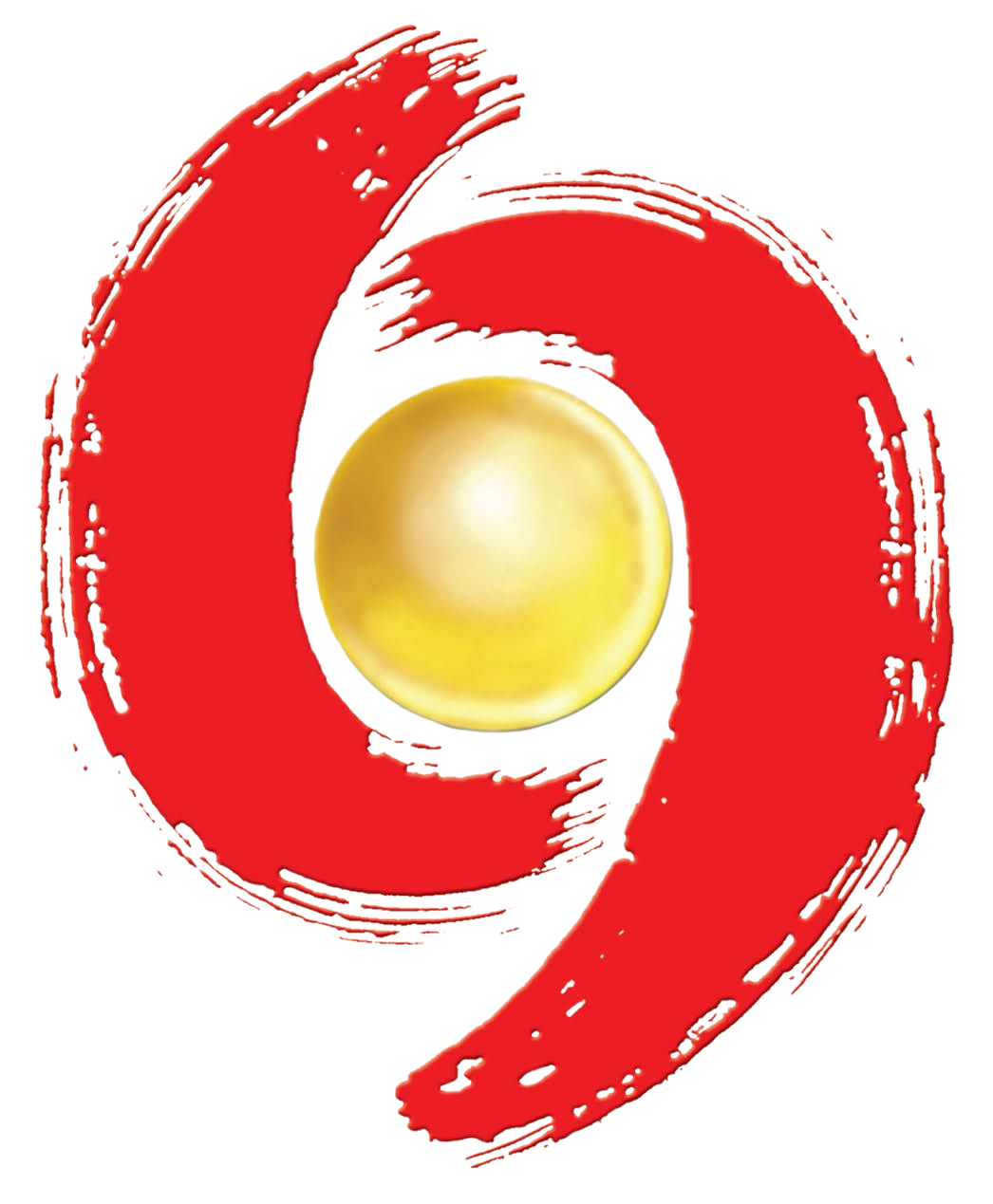 CCFI logo